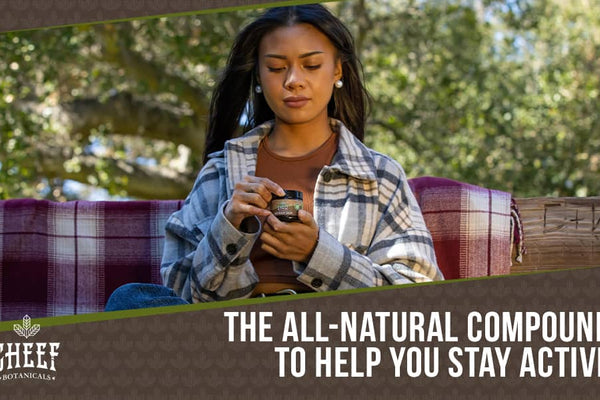 CBD Sports Cream: For Long-lasting, Full Body Relaxation