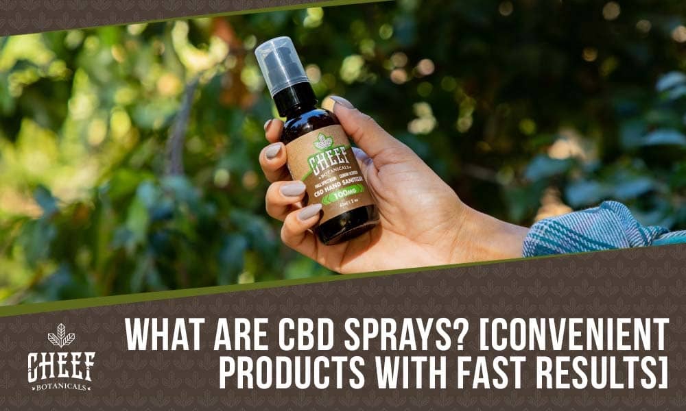 CBD Spray [Quick & Easy Relief You Can Take Anywhere!]