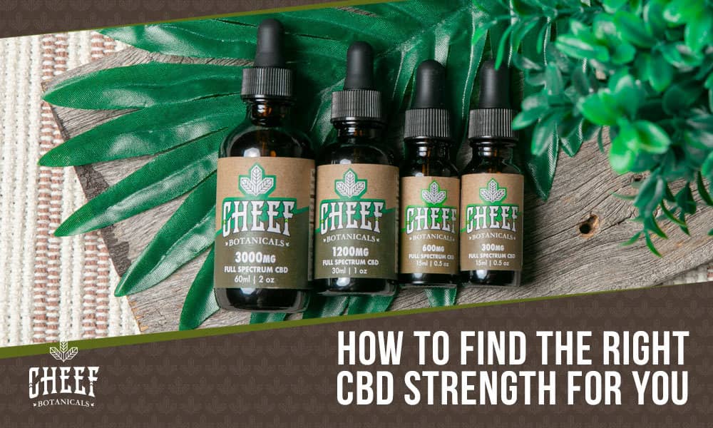 Featured blog image by Cheef Botanicals showing several CBD oil tincture bottles with green leaves and the text “How to Find the Right CBD Strength for You,” highlighting cbd strength.