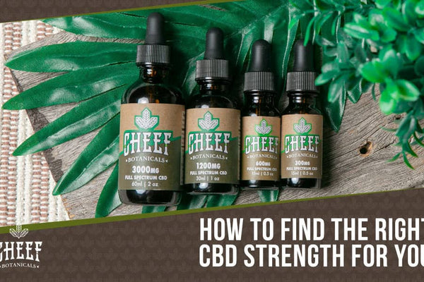 What CBD Strength Is Right for You? Find Your Perfect Potency