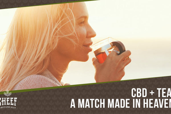Simple & Tasty CBD Tea Recipe [Natural & Highly Beneficial]