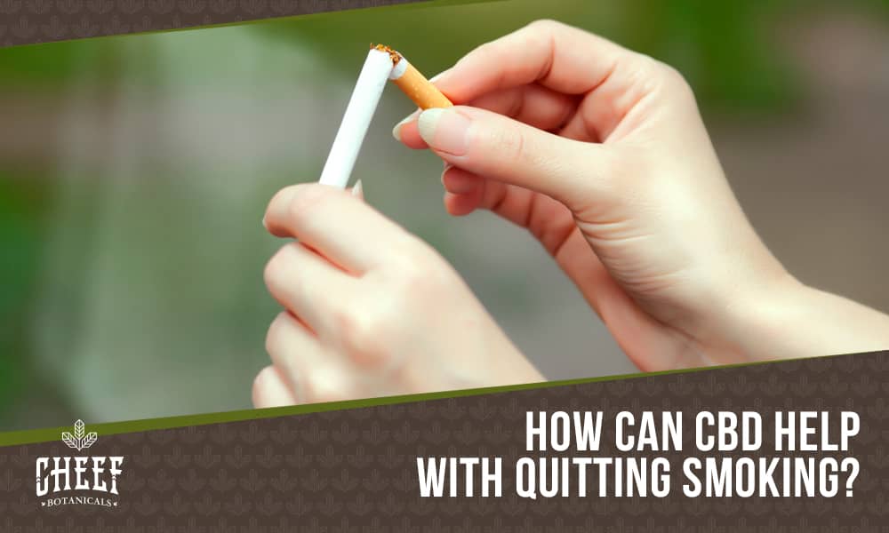 Can You Use CBD To Quit Smoking? Cheef botanicals featured blog image shows a pair of hands snapping a cigarette in half, breaking it