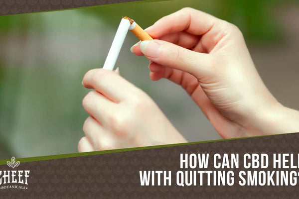 Can You Use CBD To Quit Smoking? How Effective Is It?