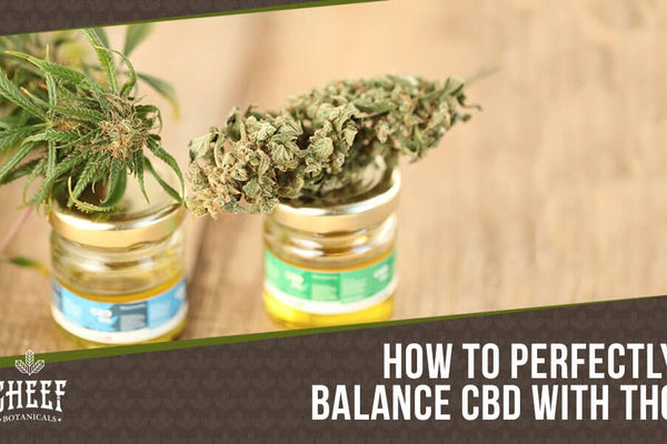 CBD To THC Ratio: Finding the Best Cannabinoid Levels