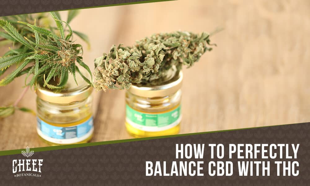 Featured blog image by Cheef Botanicals showing cannabis flower and small jars with the text “How to Perfectly Balance CBD With THC,” highlighting cbd to thc ratio.