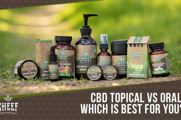 CBD Topical vs Oral [Your Guide To Consumption Methods]