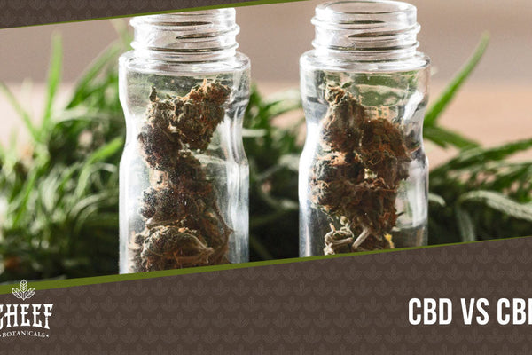 CBD vs CBN: Benefits and Uses of CBD and CBN