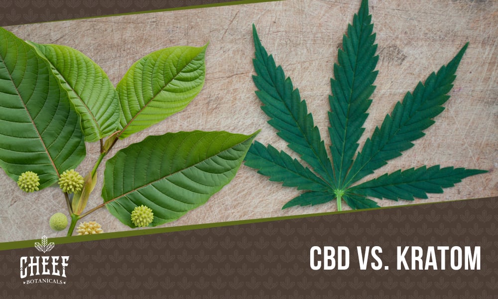 CBD vs Kratom