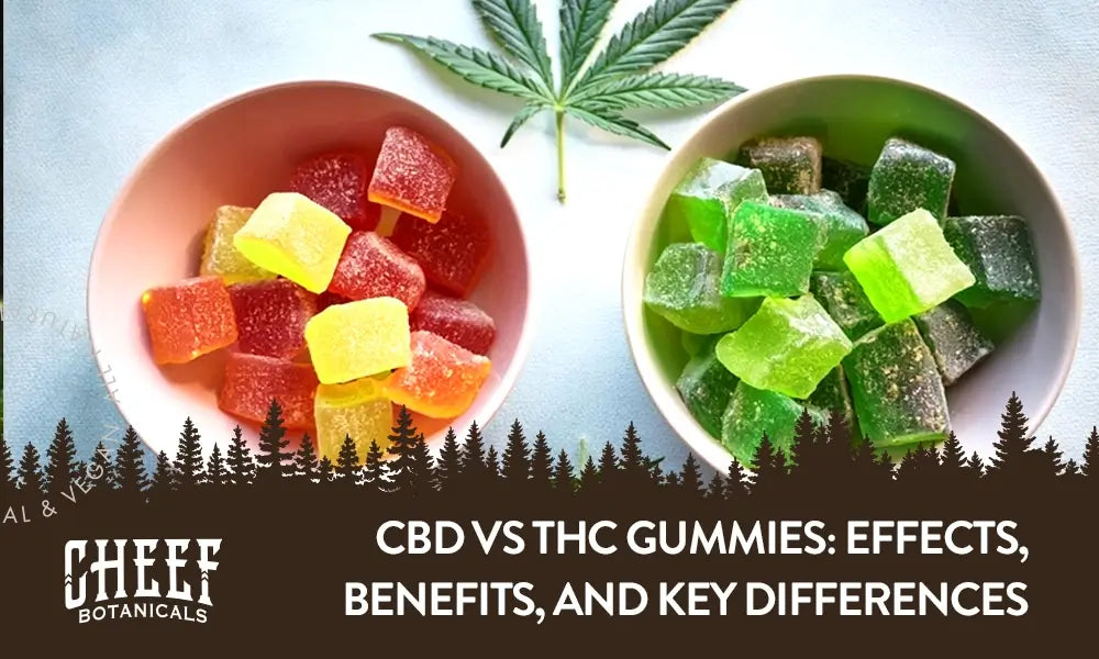 CBD vs THC gummies (featured blog image by Cheef Botanicals) shows a bowl of colorful gummies next to a bowl of green gummies