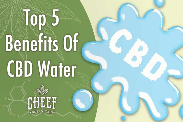 Top 5 Benefits of CBD Water (That You Probably Didn't Know)