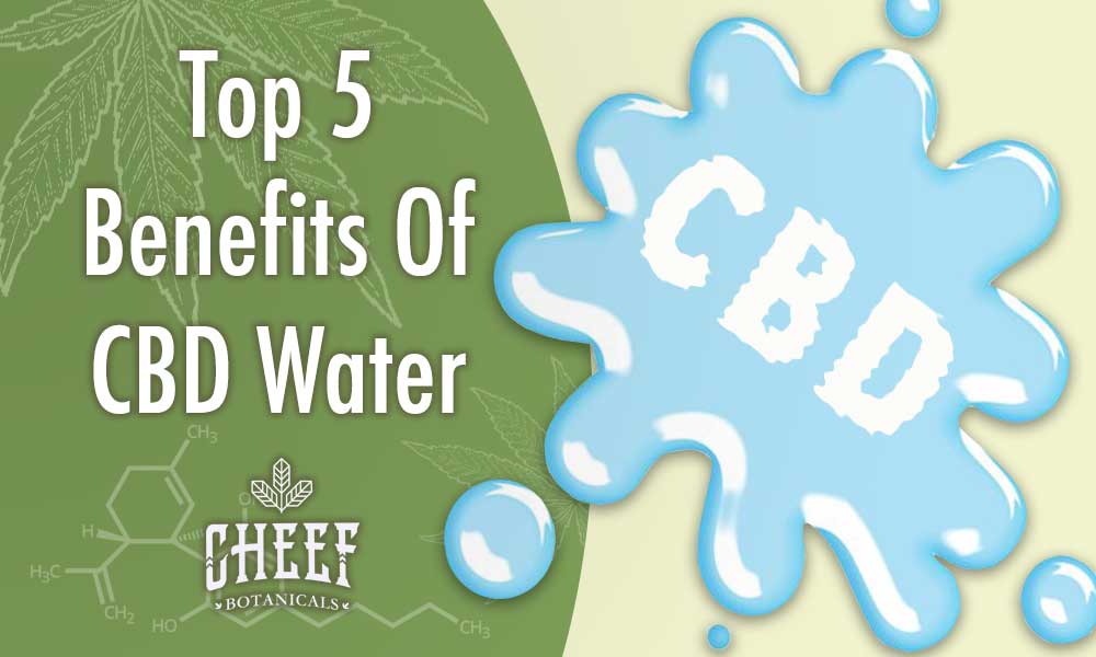 cbd water benefits (featured blog image by Cheef Botanicals) shows a creative graphic of CBD water