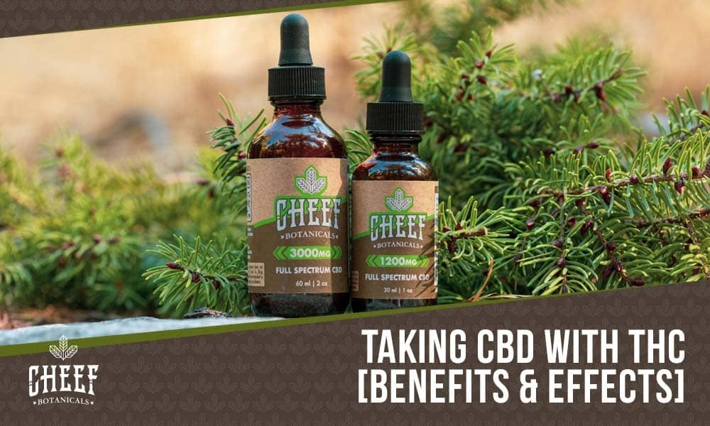 cbd with thc (featured blog image by Cheef Botanicals)  showing two CBD tincture bottles on greenery