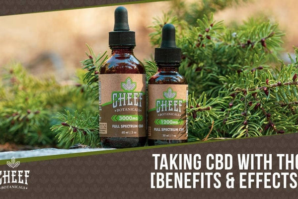 CBD With THC [How They Work Together When You Mix Them]