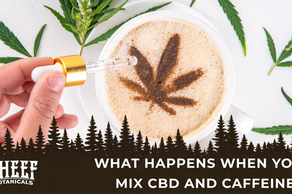 What Happens When You Mix CBD and Caffeine?
