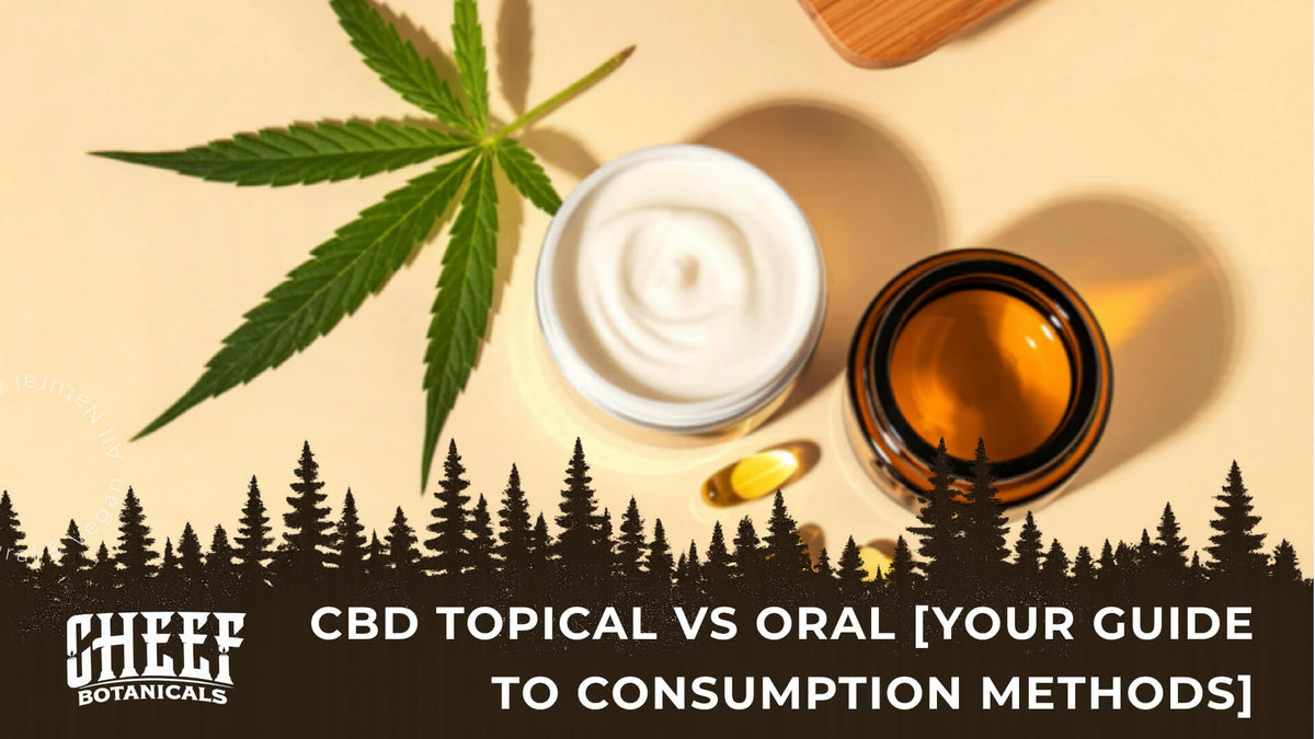 cbd topical vs oral (featured blog image by Cheef Botanicals) shows topical and oral CBD