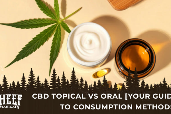 CBD Topical vs Oral [Your Guide to Consumption Methods]