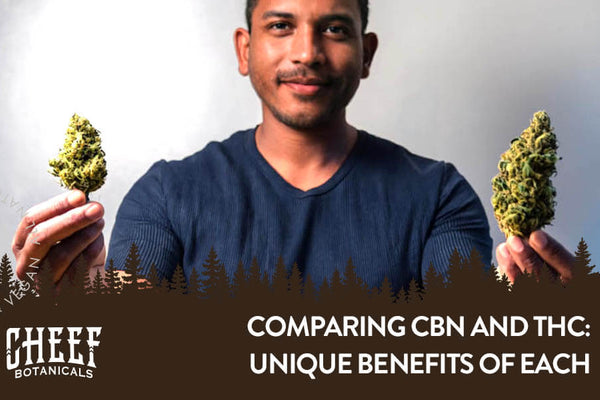 CBN vs THC Explained: Differences, Benefits, & Specific Uses