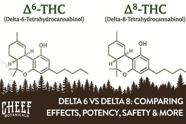 Delta 6 vs Delta 8: Comparing Effects, Potency, Safety & More