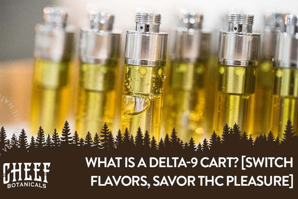 What Is a Delta 9 Cart? [Switch Flavors, Savor THC Pleasure]
