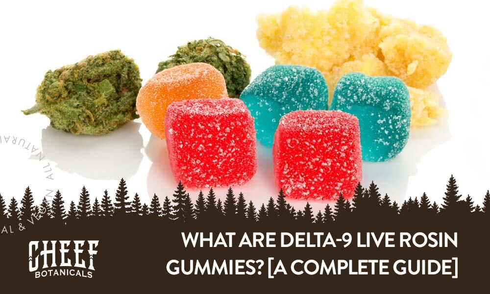 delta 9 live rosin gummies (featured blog image by Cheef Botanicals) shows delta 9 hemp buds, live rosin, and gummies