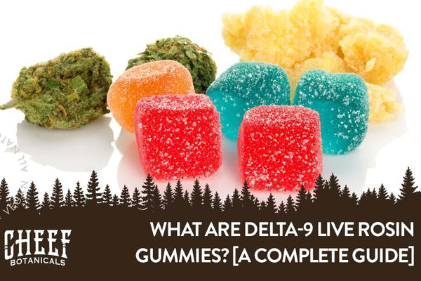 What Are Delta-9 Live Rosin Gummies? [Flavor, Strength, and Quality Explained]
