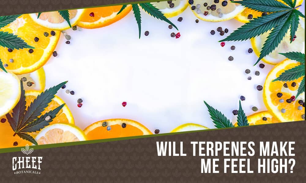 Do Terpenes Get You High featured blog image by Cheef Botanicals. Shows cannabis leaves, lemon slices, orange slices, and black and red peppercorns.