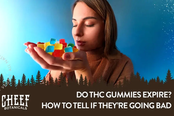 Do THC Gummies Expire? How To Tell If They've Gone Bad