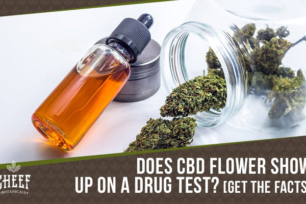 Does CBD Flower Show Up on a Drug Test? [Possibilities Explained]