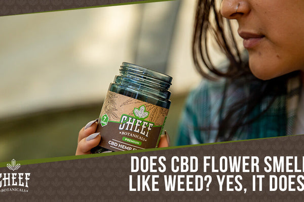 Does CBD Flower Smell Like Weed? Is It Noticeable or Low-Key?