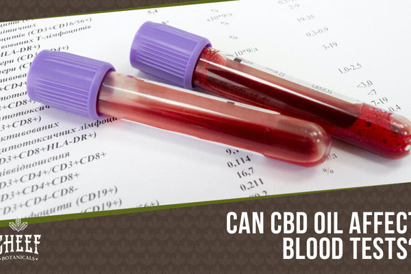 Does CBD Oil Affect Blood Work?
