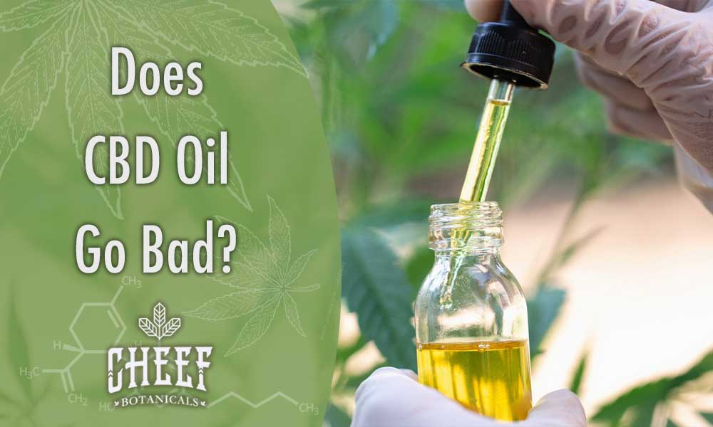 Featured blog image by Cheef Botanicals showing a gloved hand using a dropper with CBD oil and the text “Does CBD Oil Go Bad?” highlighting CBD oil shelf life.