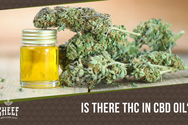 Does CBD Oil Have THC? Sometimes It Can, This is Why!