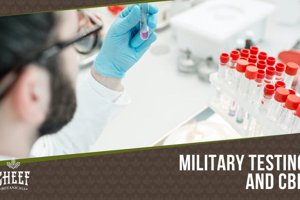 Does the Military Test for CBD? Risks & Regulations Explained