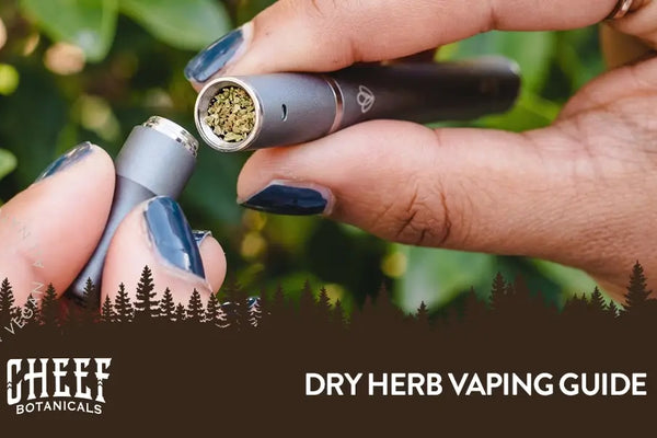Dry Herb Vape: What You’re Missing If You Still Smoke