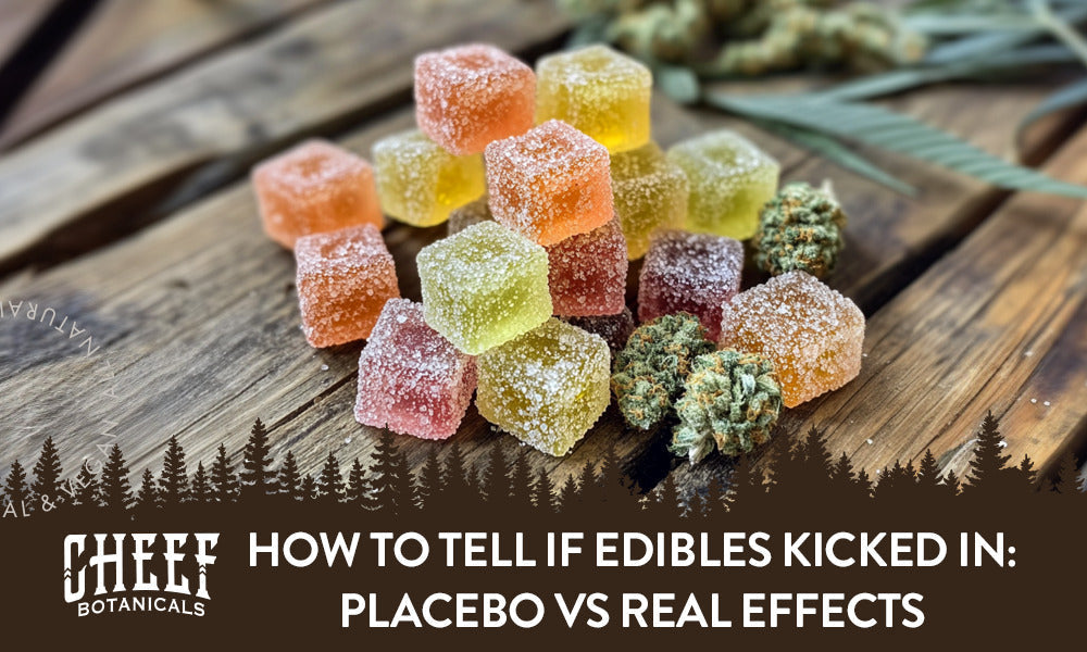 How to tell if edibles kicked in (featured blog image by Cheef Botanicals) shows a pile of edible cannabis gummies and a few cannabis buds on a wooden surface