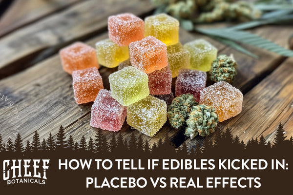 How to Tell If Edibles Kicked In: Signs, Timing, and What to Do