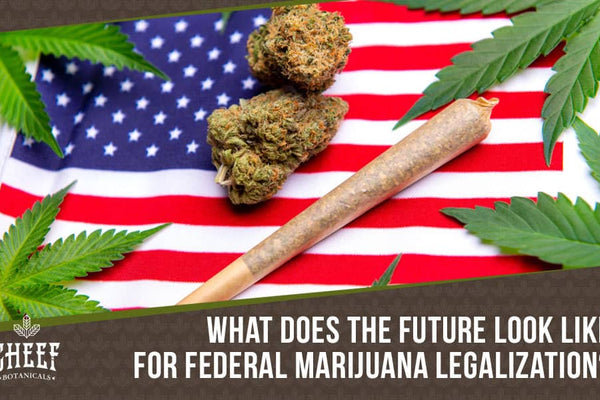 Federal Marijuana Legalization 2021: Historic Bill Passed by House