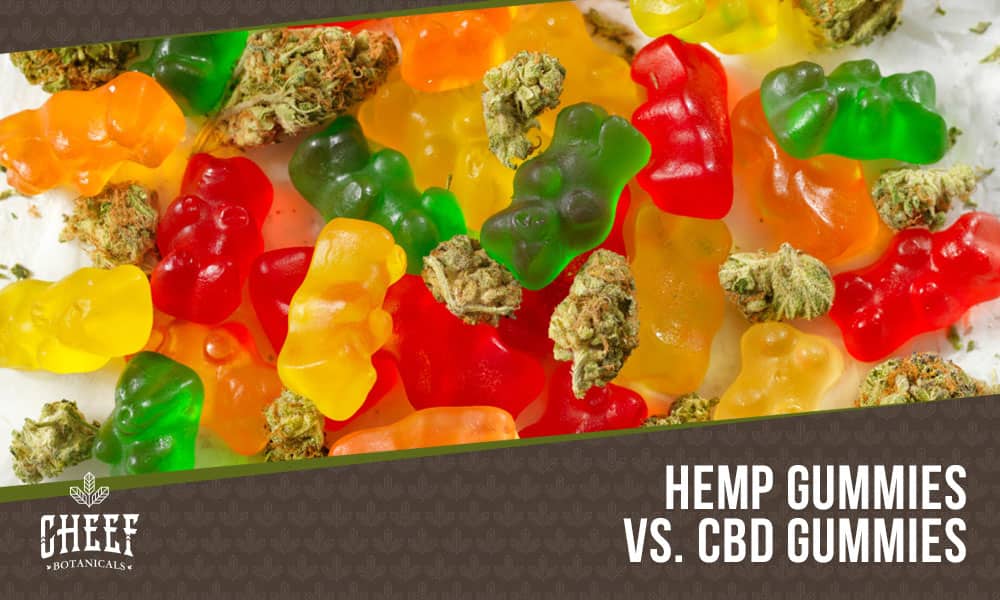 Featured blog image by Cheef Botanical showing colorful gummy bears and cannabis buds with the text “Hemp Gummies vs. CBD Gummies,” highlighting hemp gummies vs CBD gummies.