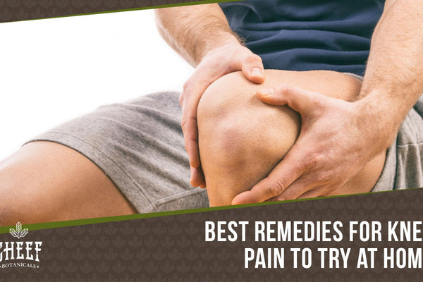 Home Remedies for Knee Pain [Top Tips & Prevention Methods]
