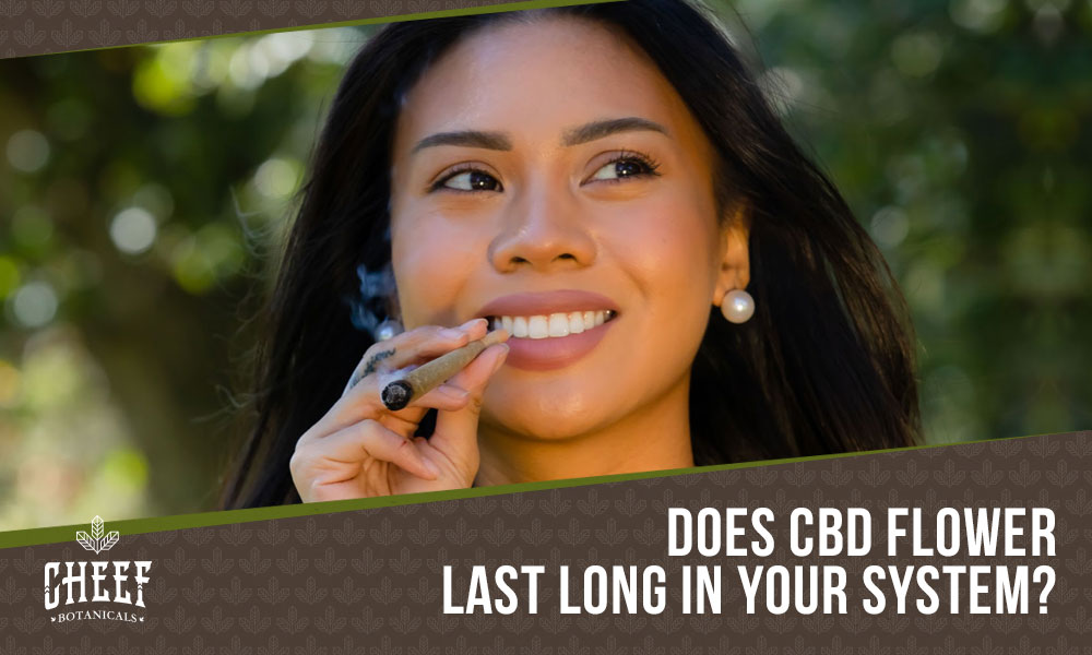 how long does CBD flower stay in your system (featured blog image by Cheef Botanicals) shows a woman smoking CBD flower