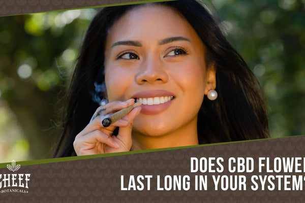 How Long Does CBD Flower Stay in Your System? [Not Long At All!]