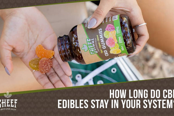 How Long Does Edible CBD Stay in System? [Important Factors & Tips]