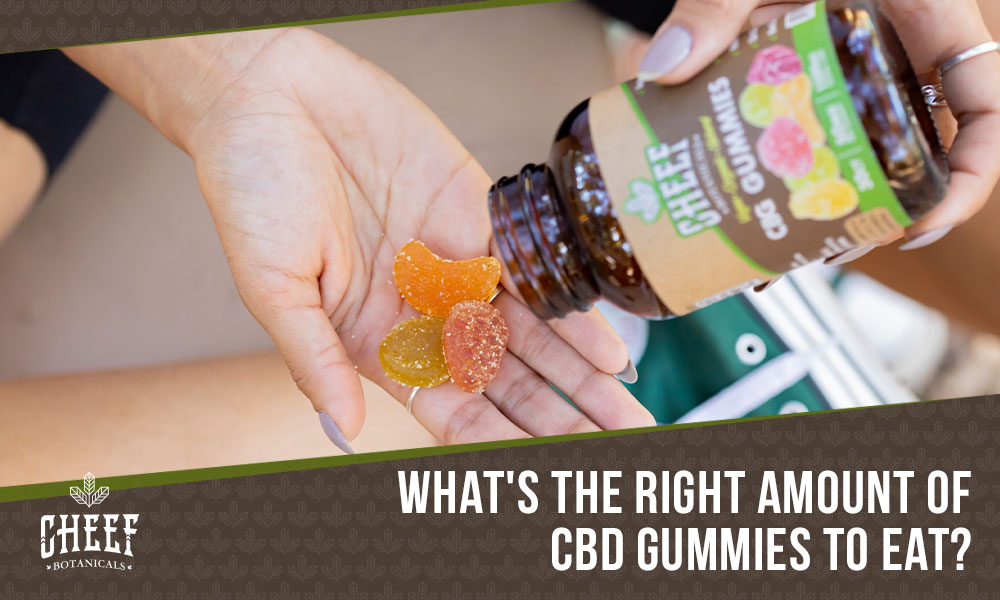 Featured blog image by Cheef Botanical showing CBD gummies being poured into a hand with the text “What’s the Right Amount of CBD Gummies to Eat?” highlighting CBD gummies dosage.