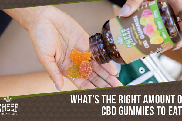 How Many CBD Gummies Should I Eat? [Easy Calculation]