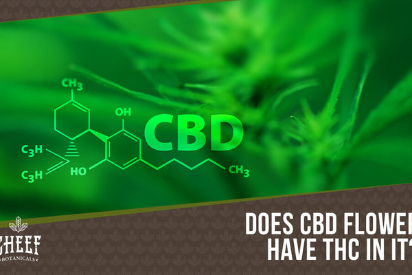 How Much THC Is in CBD Flower? A Must-Read Before Buying Hemp