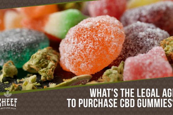 How Old Do You Have To Be To Buy CBD Gummies?