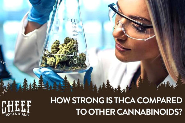 How Strong Is THCa? [True Strength Explained]