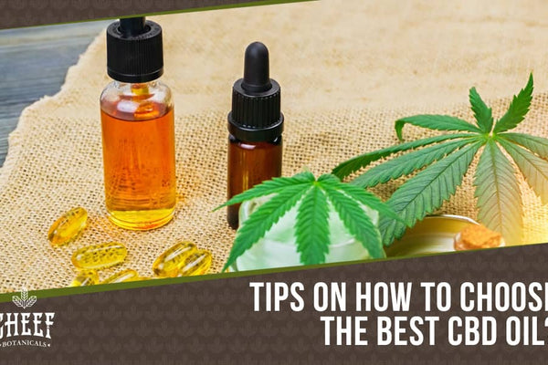 How to Choose CBD Oil & CBD Products