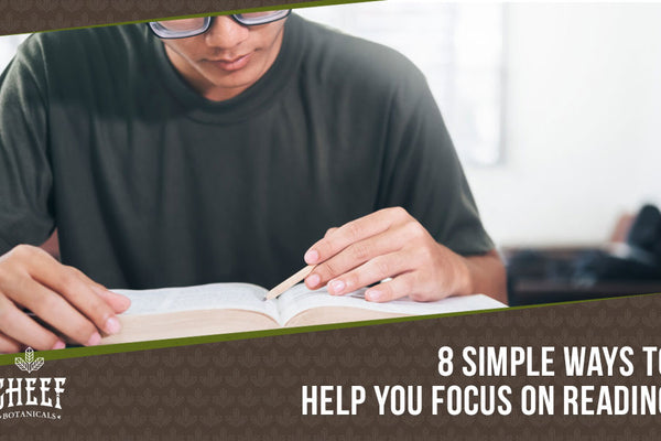 How To Focus On Reading: 8 Simple Tips To Improve Concentration