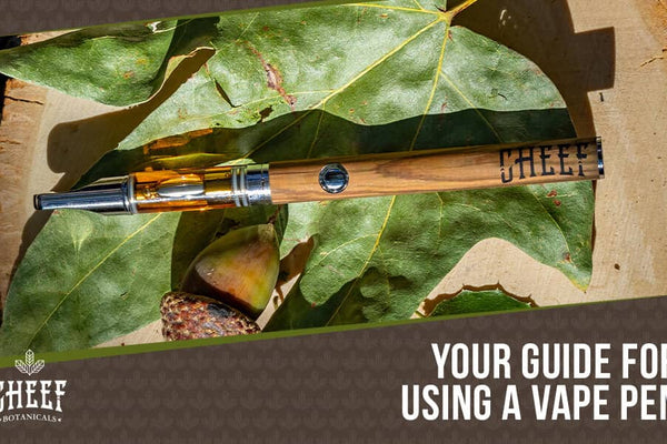 How To Use A Vape Pen: The Ultimate Guide For Vaping